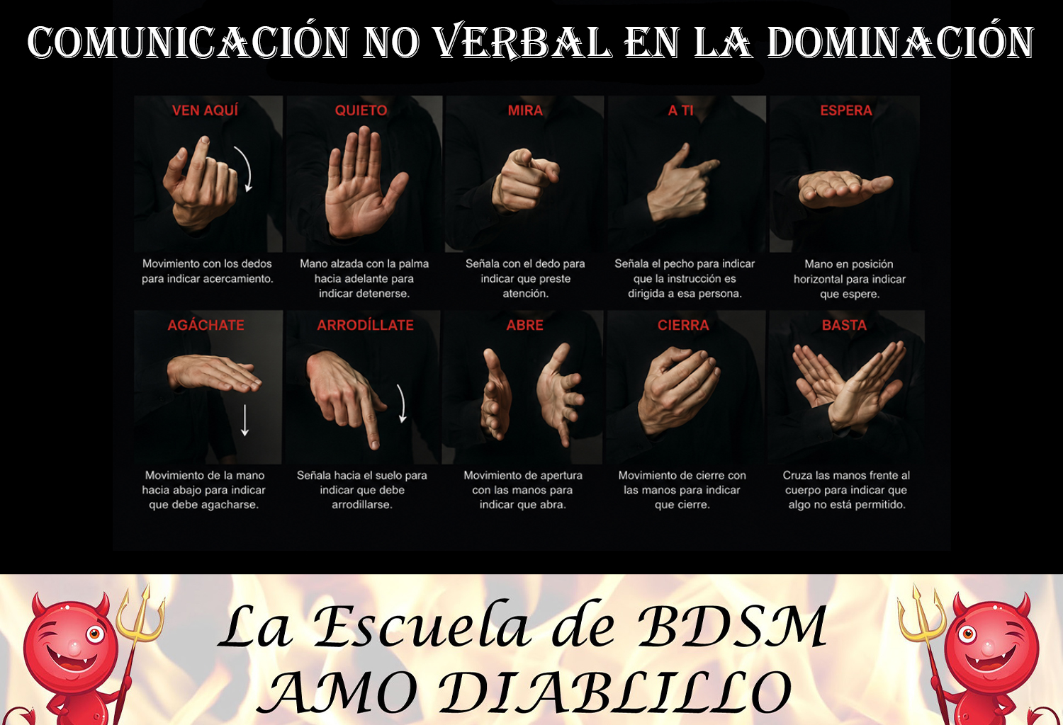 COMUNICACIÓN NO VERBAL EN LA DOMINACIÓN